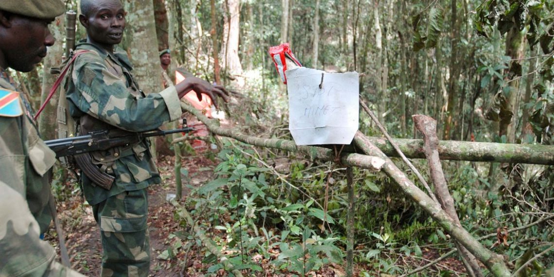 General Carlos Alberto dos Santos Cruz, Force Commander for the United Nations Stabilization Mission in the Democratic Republic of Congo (MONUSCO travelled to Beni (North Kivu, DRC) on 16 April 2014. During his 3 days visit,  along with sector commanders (FIB, Nepalese battalion, the Jordanian special force) and FARDC 8th Military Region commander General Ambamba Bahuma, he visited the area of operations of Sukula I. to assess the ongoing operations against ADF Nalu militia (Islamic alliance of democratic Forces/National Army for the Liberation of Uganda). In this jungle guerrilla warfare,  FARDC soldiers have fought with a tremendous  courage up to the supreme sacrifice of their lives in order to capture ADF Medina stronghold.

 rebels booby trap