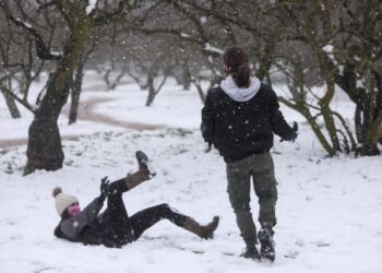 Cold weather front 'Mideia' hits Greece. Snapshots of the snowfall in the northern suburbs, Grove of Syggrou Estate, Athens, on Feb. 15, 2021. / Το ψυχρό μέτωπο 'Μήδεια΄ προκάλεσε ισχυρή χιονόπτωση. Στιγμιότυπο απο τα βόρεια προάστια, Άλσος Συγγρού, Μαρούσι, στις 15 Φεβρουαρίου, 2021