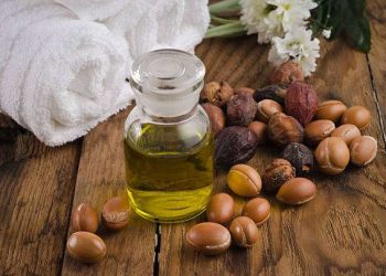 Still life of argan oil with fruit on a natural background. Argan fruits come from Morocco (Africa) and are used as component of many cosmetic products