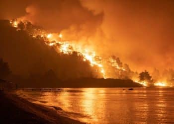 Flames rise as a wildfire burns in the village of Limni, on the island of Evia, Greece, August 6, 2021.  REUTERS/Nicolas Economou