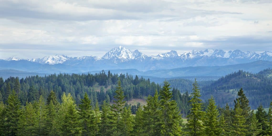 Snowcapped mountains with pine trees in Washington state