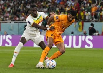 DOHA, 21-11-2022 Al Thumama Stadium World Cup 2022 in Qatar game between Senegal and Netherlands, Netherlands player Cody Gakpo Senegal - Netherlands PUBLICATIONxNOTxINxNED x19307548x Copyright: